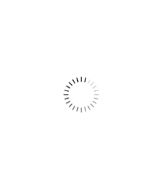 speaker-1