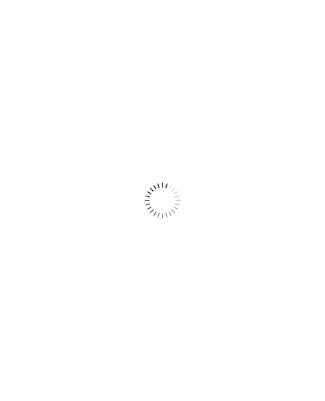 iphone6s-1